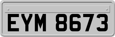 EYM8673
