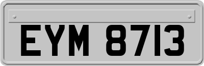 EYM8713