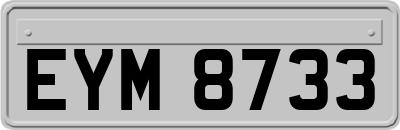EYM8733