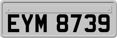 EYM8739