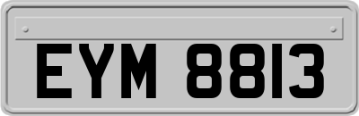 EYM8813