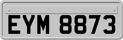 EYM8873