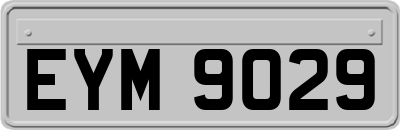 EYM9029