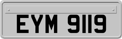 EYM9119