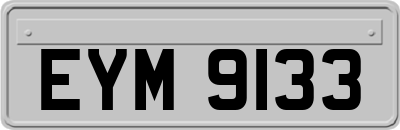 EYM9133