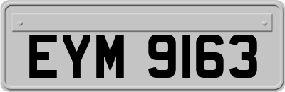 EYM9163