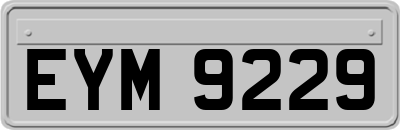 EYM9229