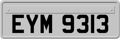 EYM9313