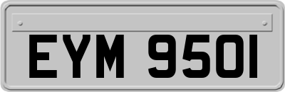 EYM9501