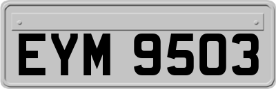 EYM9503