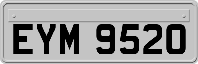 EYM9520
