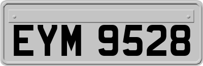 EYM9528