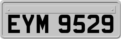 EYM9529