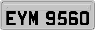 EYM9560