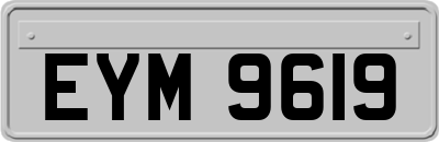 EYM9619