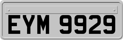 EYM9929