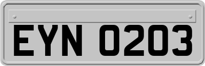 EYN0203