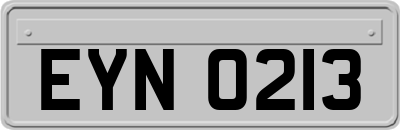 EYN0213
