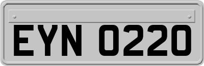 EYN0220