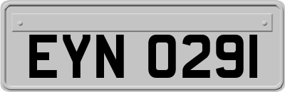 EYN0291