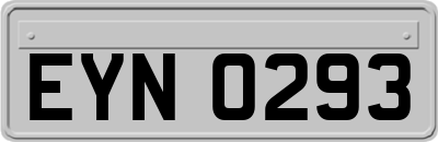 EYN0293