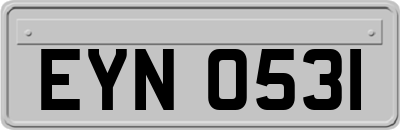 EYN0531