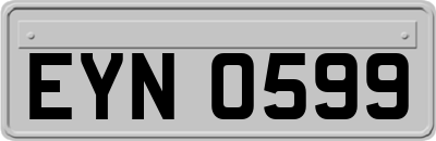 EYN0599