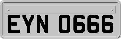 EYN0666
