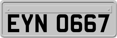 EYN0667