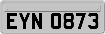 EYN0873