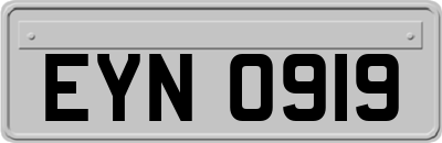 EYN0919