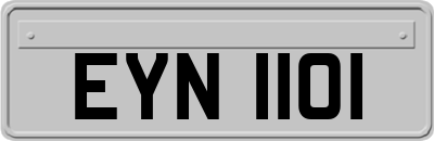 EYN1101