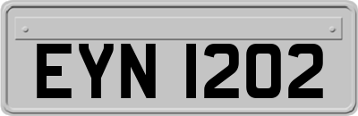EYN1202