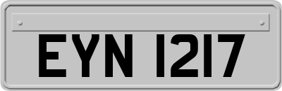 EYN1217