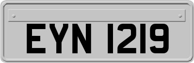 EYN1219