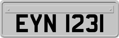 EYN1231