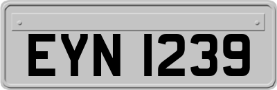 EYN1239