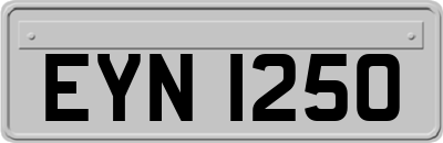EYN1250