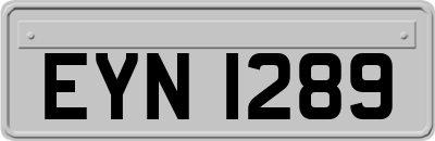 EYN1289
