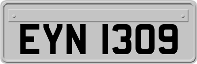 EYN1309