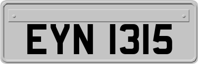 EYN1315
