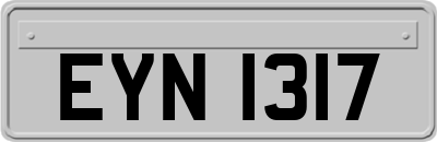 EYN1317