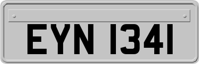 EYN1341