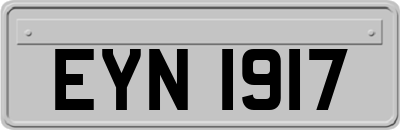 EYN1917