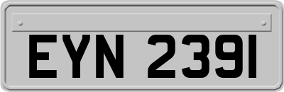 EYN2391