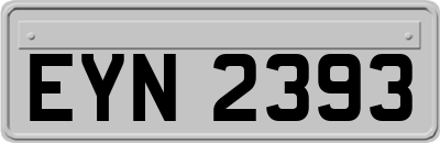 EYN2393