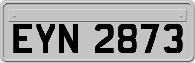 EYN2873