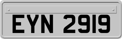 EYN2919