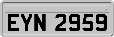 EYN2959