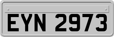 EYN2973